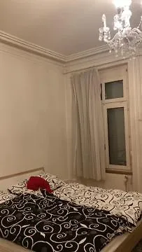 Modern Near Exhibition Center Apartment
